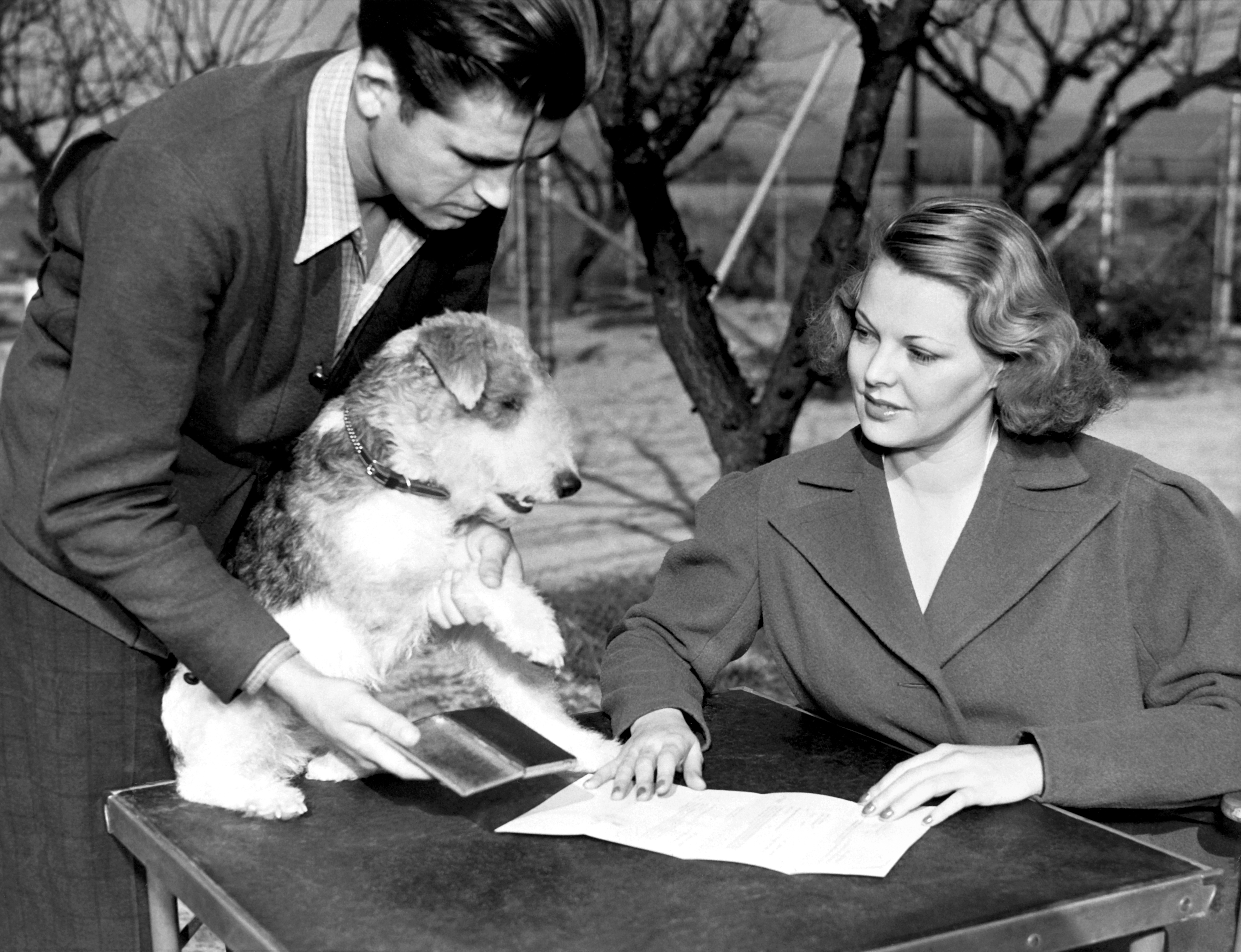 Asta Puppy Love The 25 Greatest Dogs in Movies and TV Purple Clover