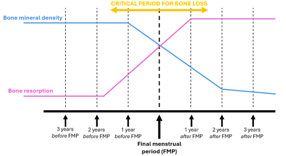 Critical period for bone loss Critical period for bone loss