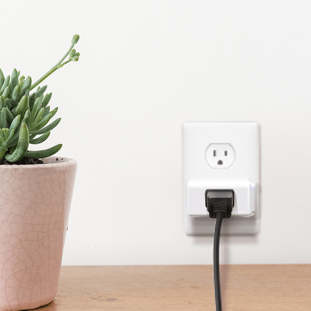 MiniPrise intelligente Mini de Kasa branchée dans une prise murale à côté d’une plante en pot.