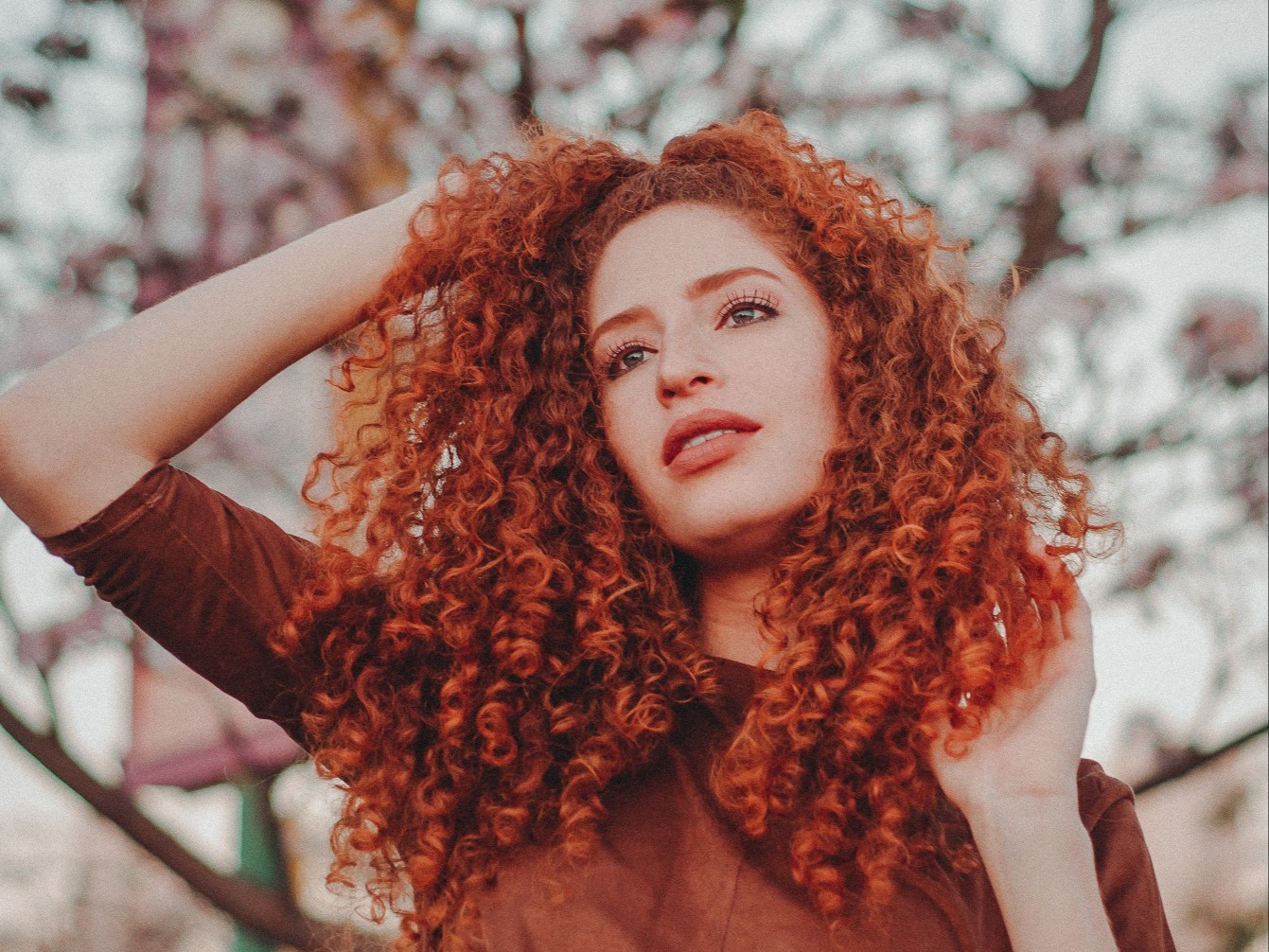 pexels-anderson-miranda-1781437