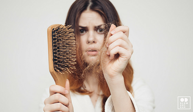 1a1668 1706801ec5b748588c9dd8ce03992741 mv2