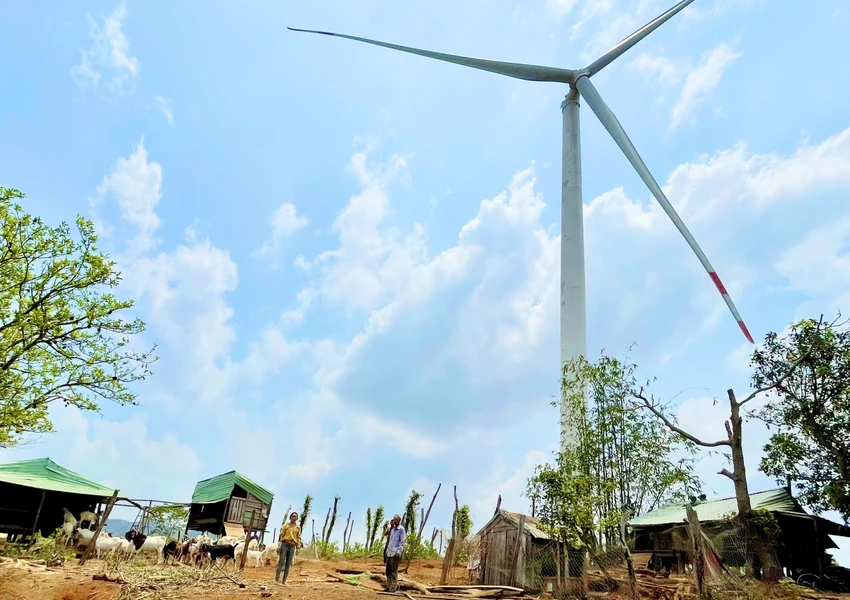 Khó khăn với vấn đề hành lang an toàn tháp gió: Chính phủ, doanh nghiệp đối diện thách thức