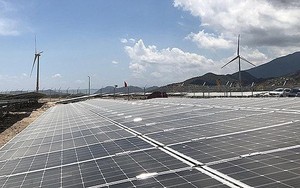 Triển khai kế hoạch thực hiện quy hoạch tổng thể về năng lượng quốc gia đến năm 2050