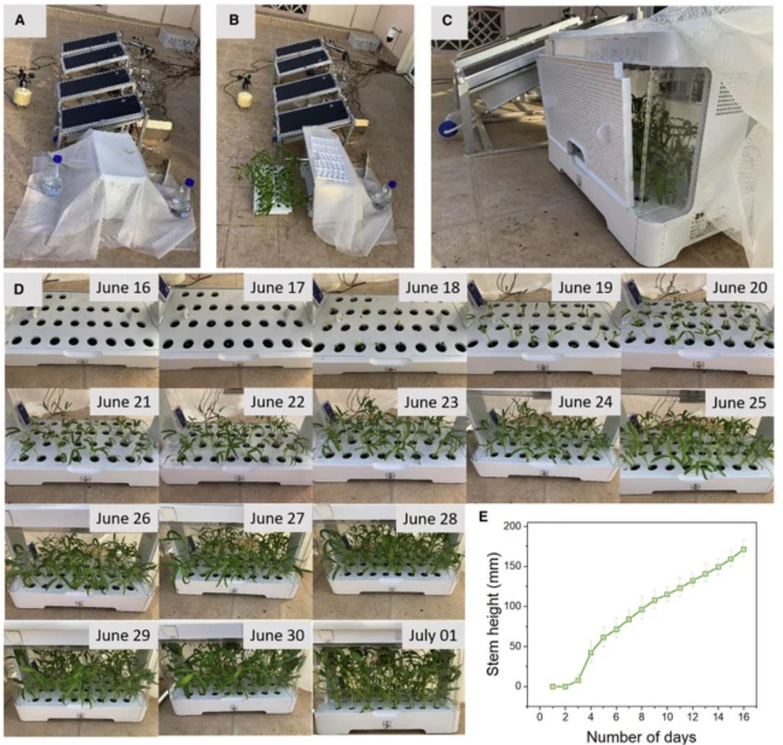 Hệ thống sản xuất điện mặt trời và nước sạch trên sa mạc