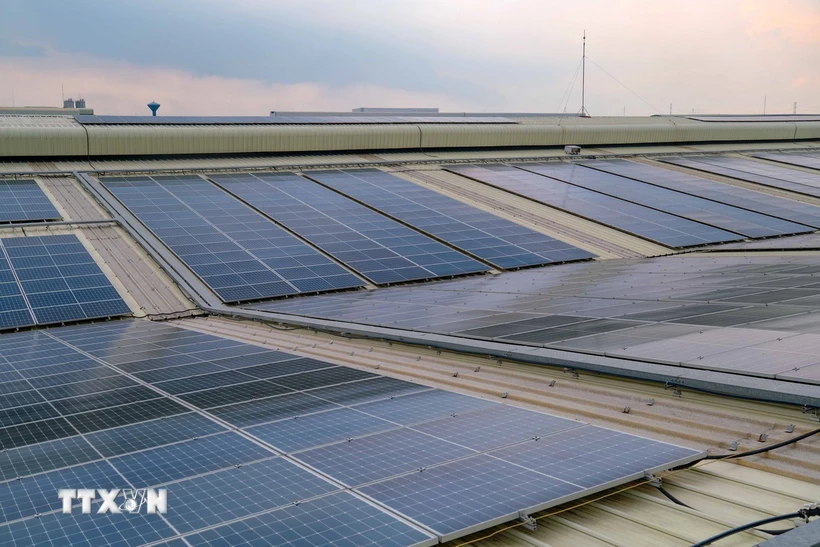 Năng lượng tái tạo - “chìa khóa” phát triển xanh cho Đồng bằng sông Cửu Long