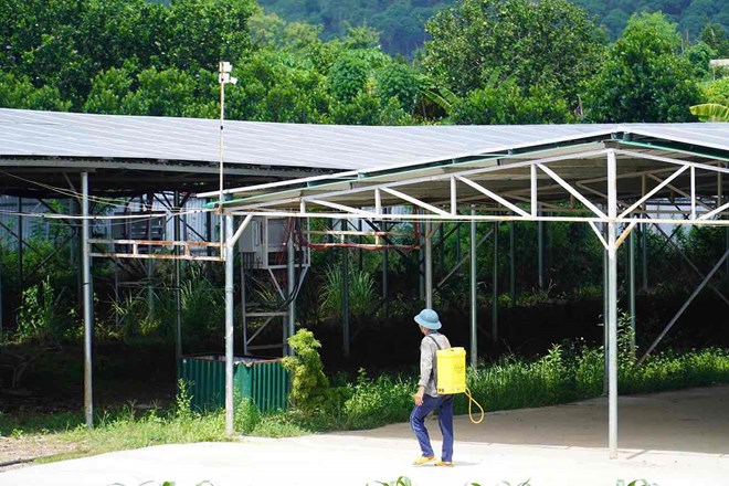 Huyện Tân Phú chỉ đạo kiểm tra trạm điện mặt trời khủng ở Đồng Nai