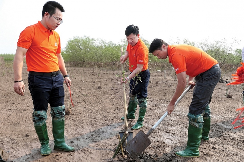 PVEP điều chỉnh chiến lược trong bối cảnh chuyển đổi năng lượng