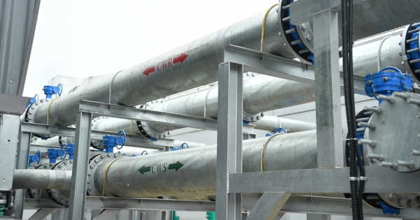 Chứng chỉ Carbon và hành trình chuyển đổi số bền vững