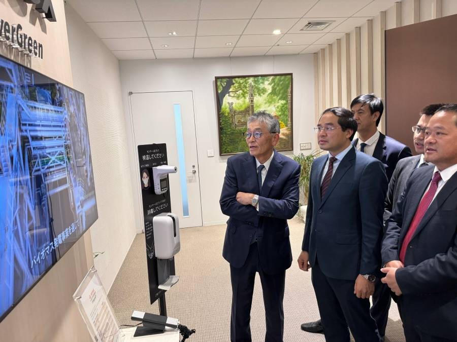 Lào Cai: Đẩy mạnh hợp tác sản xuất điện sinh khối với Công ty EREX