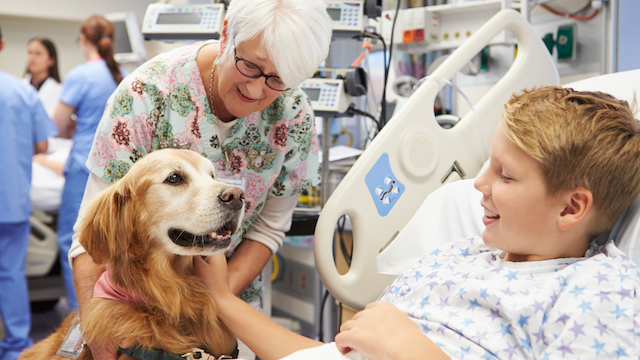 Photo: phoenix-society.org How Hospital Therapy Animals Help Patients Heal