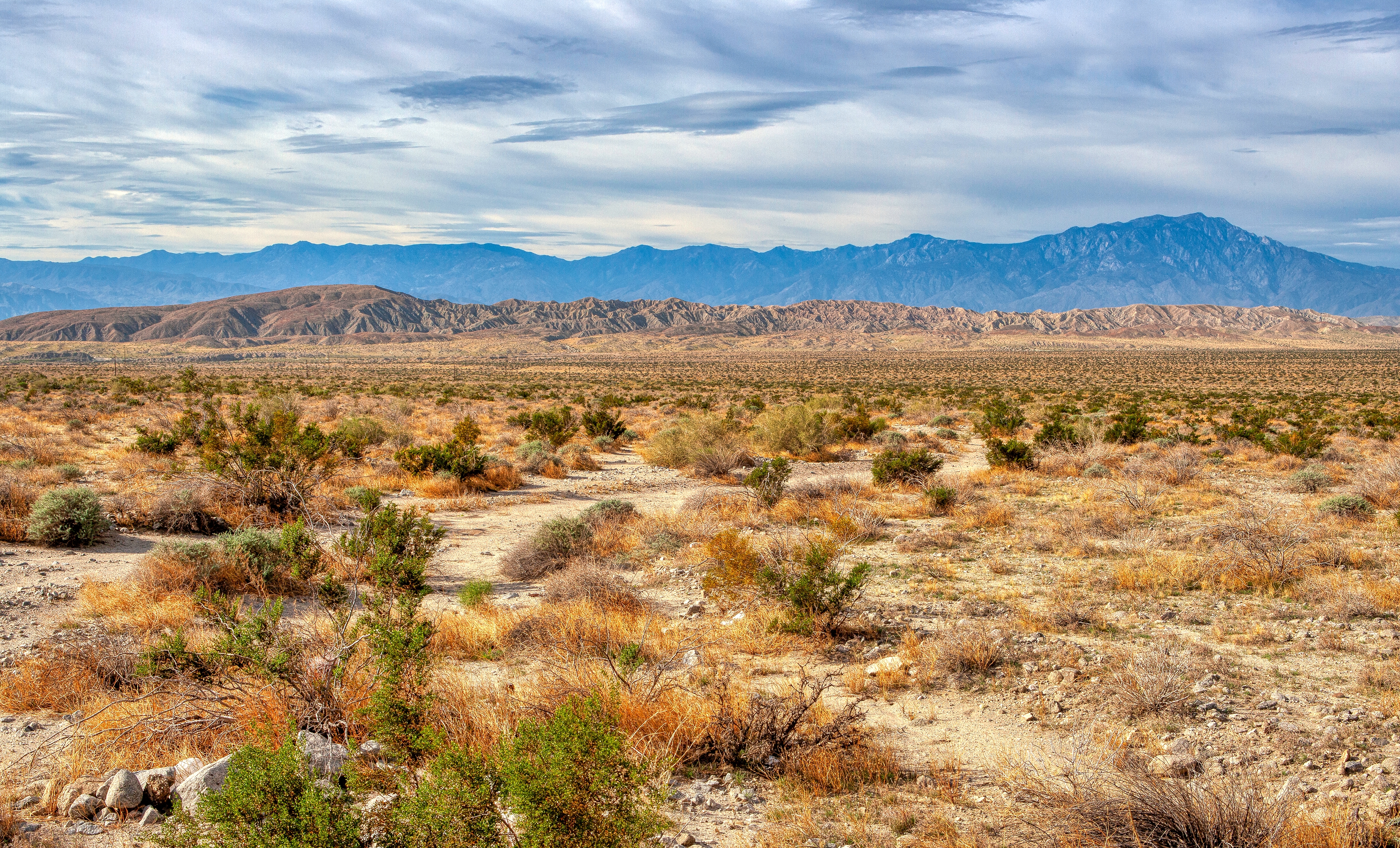 A landscape photo of the Coachella Valley with desert brush, plants and mountains in the distance