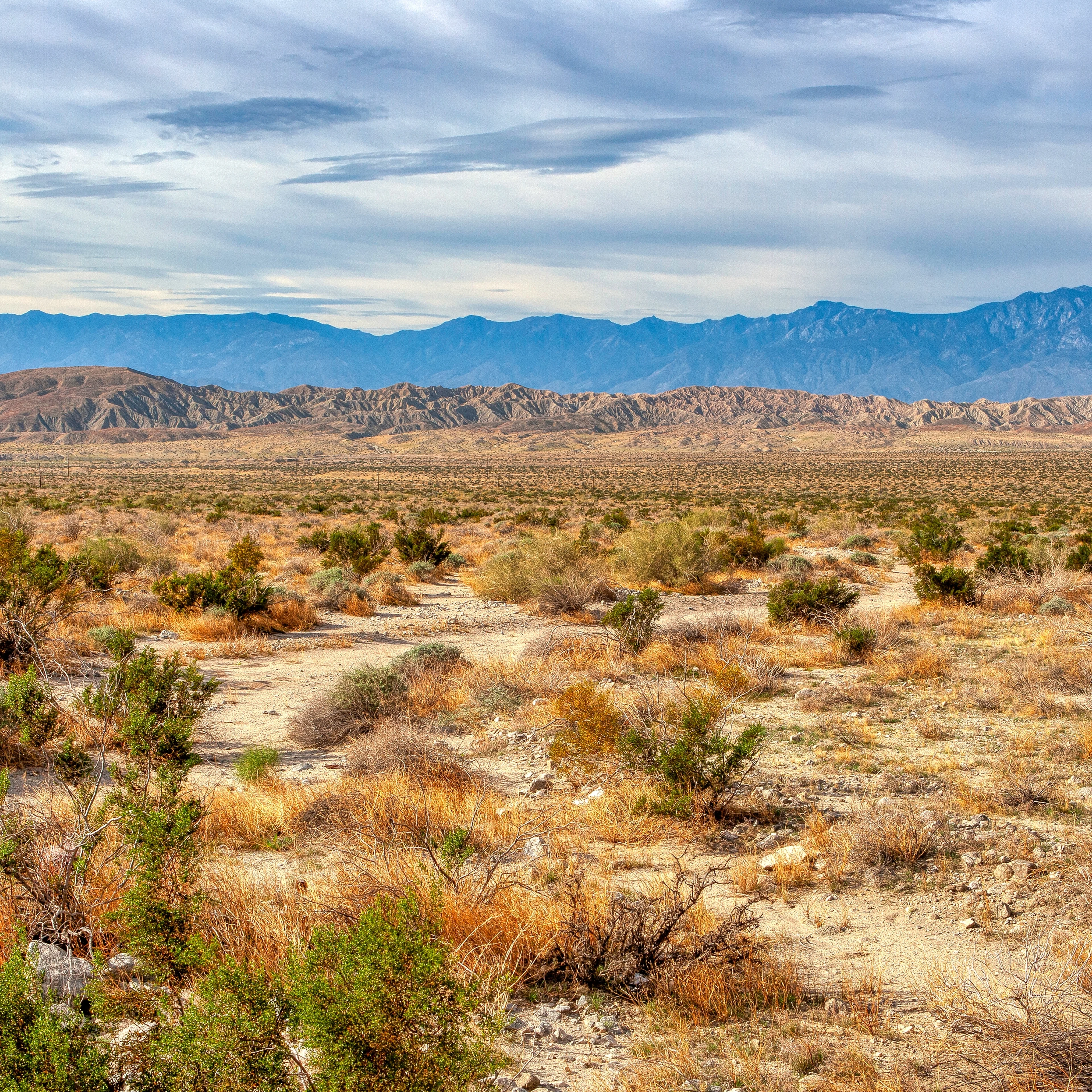 A landscape photo of the Coachella Valley with desert brush, plants and mountains in the distance