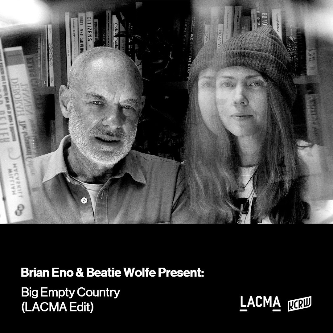 洋楽 FOVEA HEX / BRIAN ENO / WILLIAM BASINSKI Here Is Where We Used To Sing | Fovea Hex