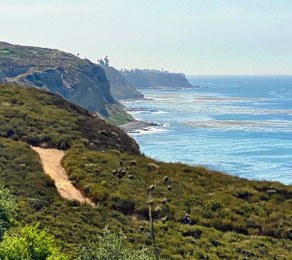 A winding dirt trail along a green coastal bluff overlooking the blue ocean, with two hikers resting among the shrubs.
