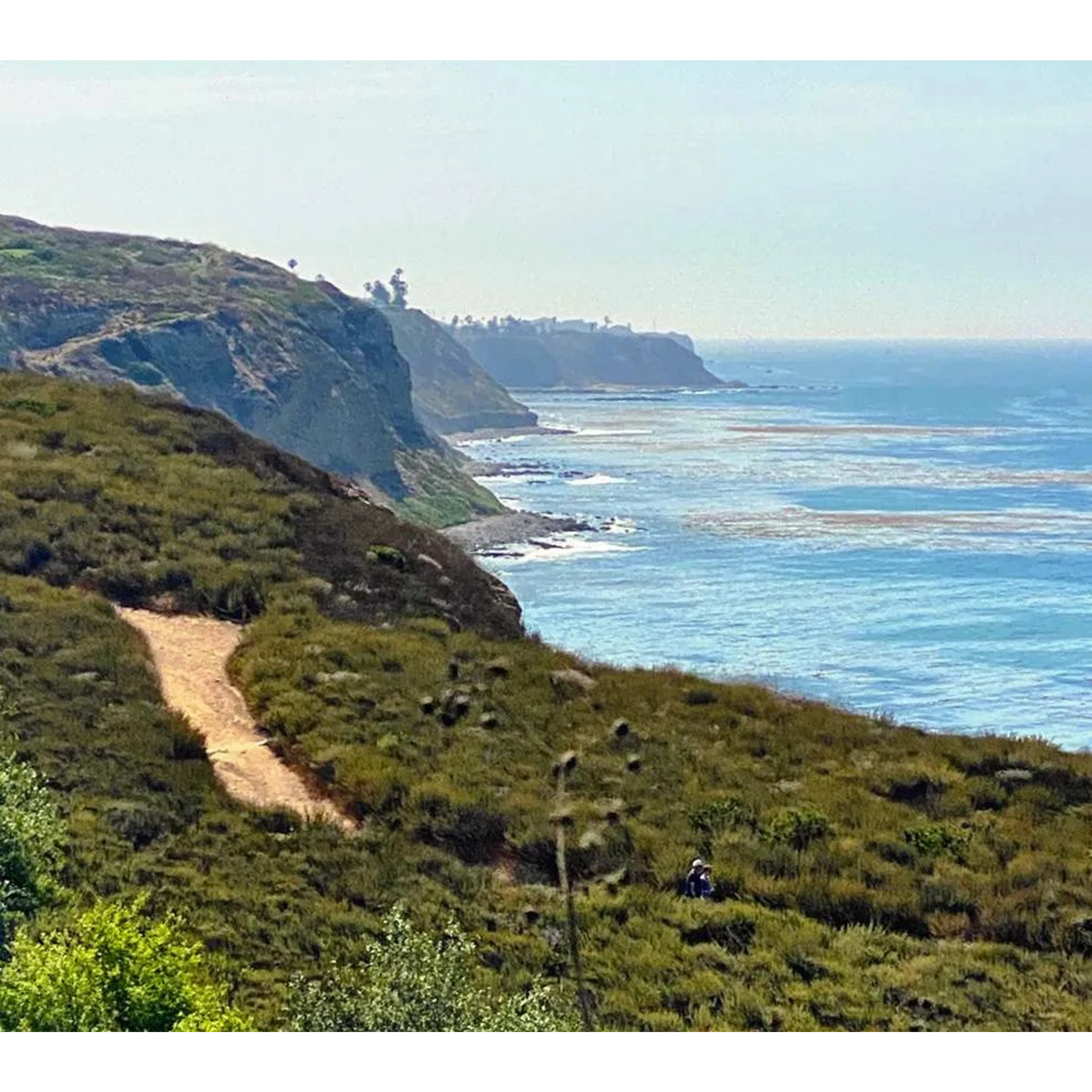 A winding dirt trail along a green coastal bluff overlooking the blue ocean, with two hikers resting among the shrubs.