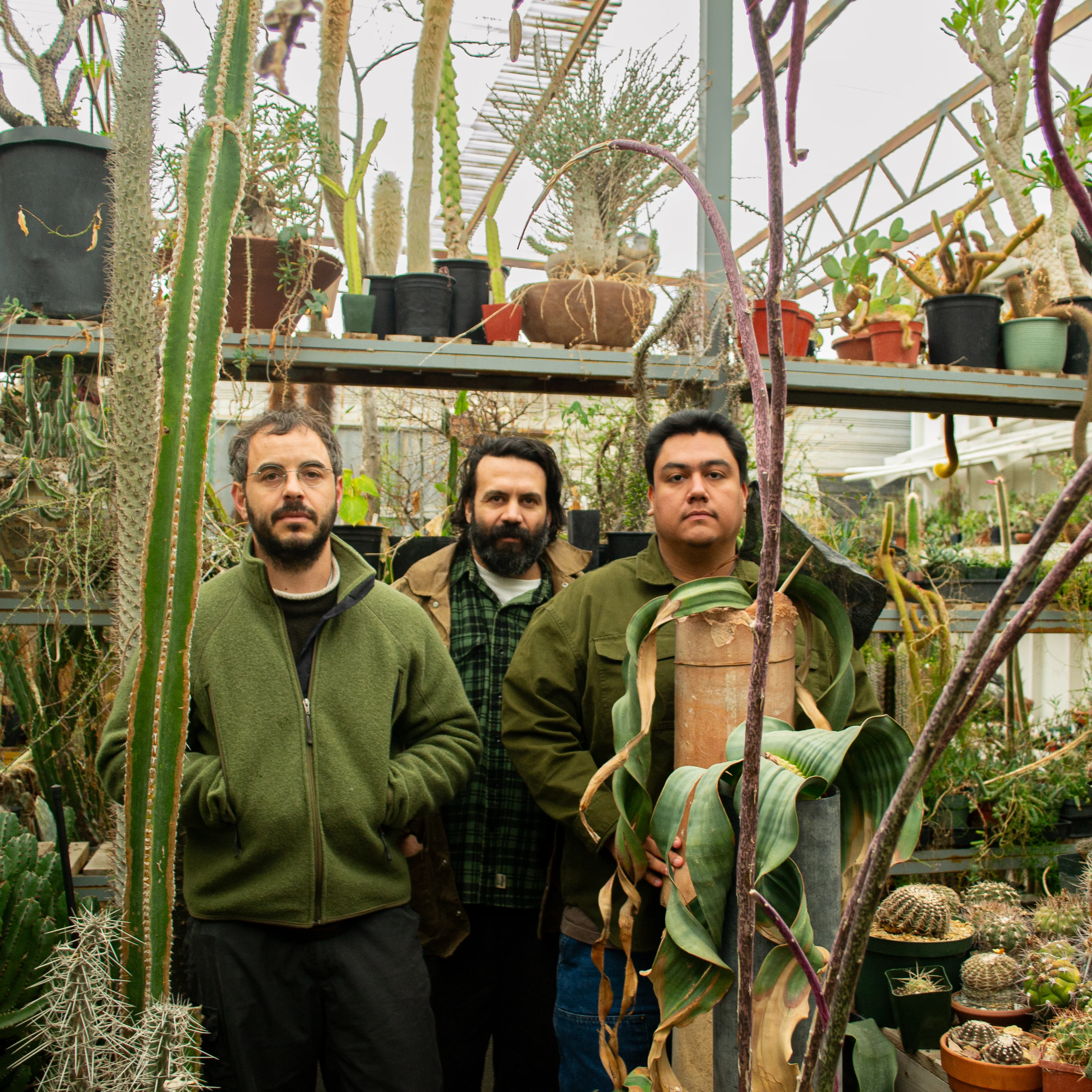 Three men stand in the middle of a greenhouse surrounded by rare plants