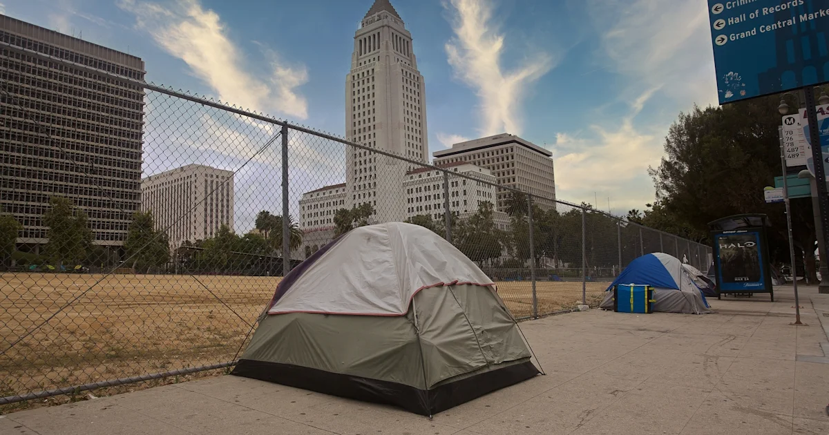 Homelessness is up in LA. What it means for the…