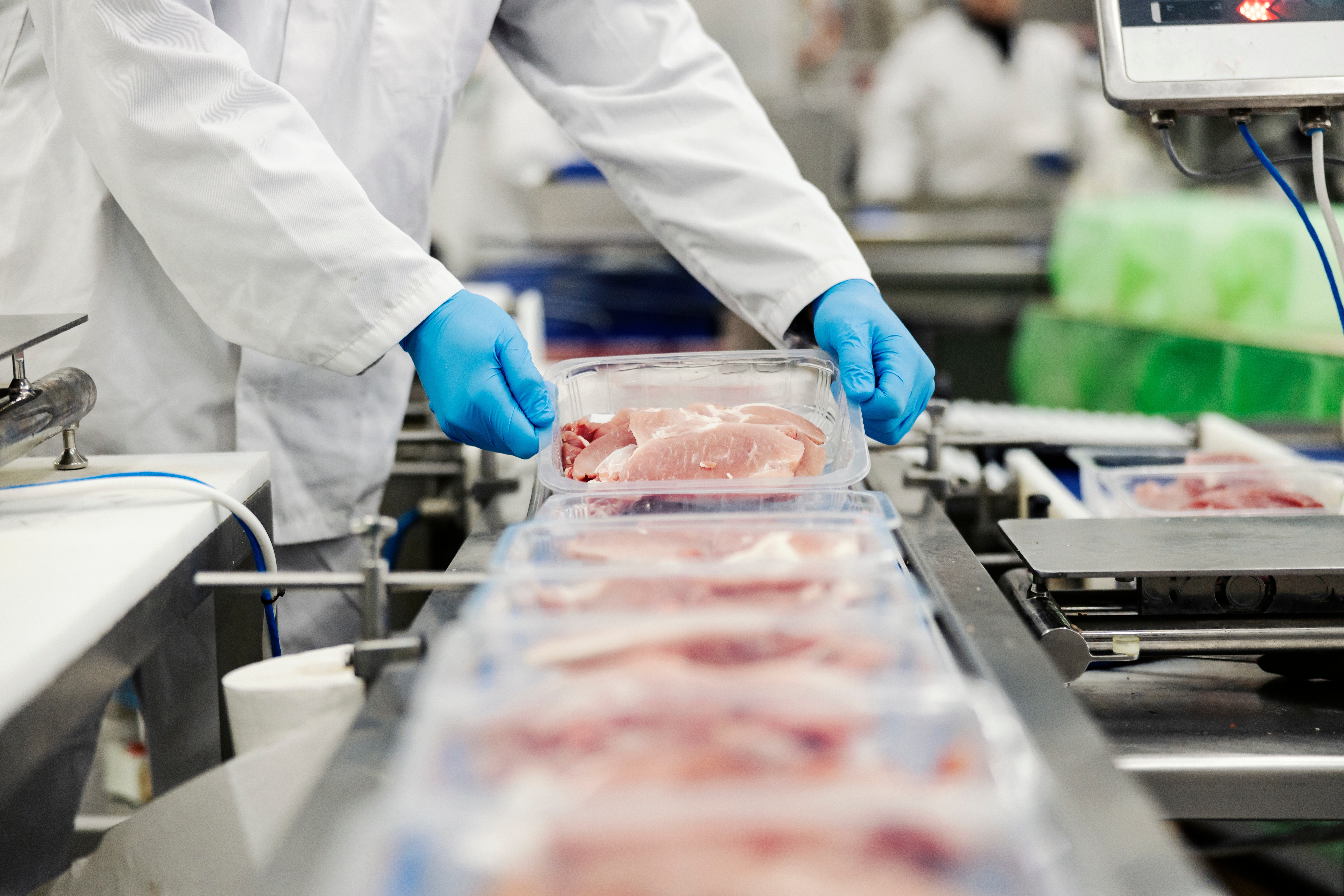 Close up of a meat industry worker's hands gathering packed meat on a conveyor belt.