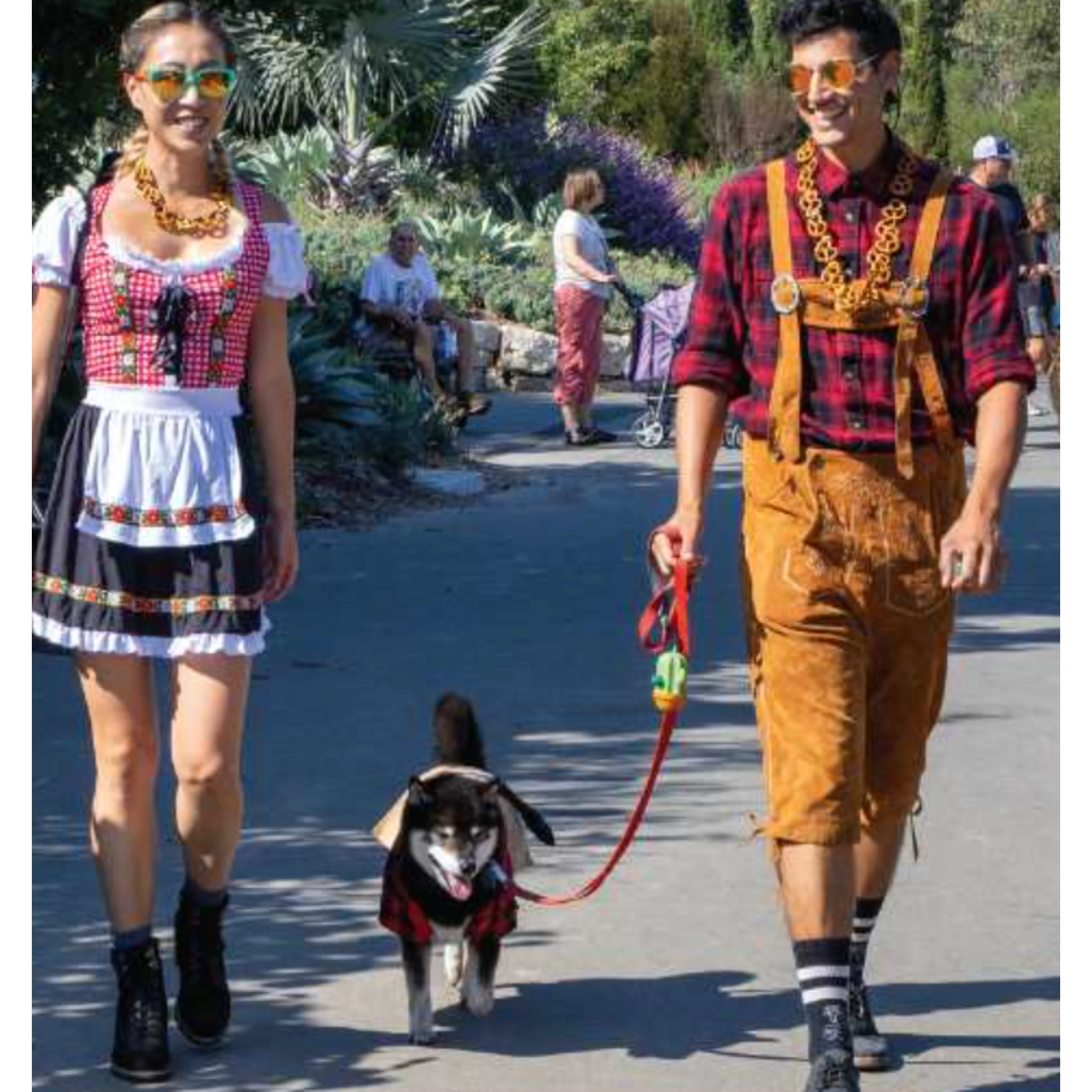 Dogtoberfest