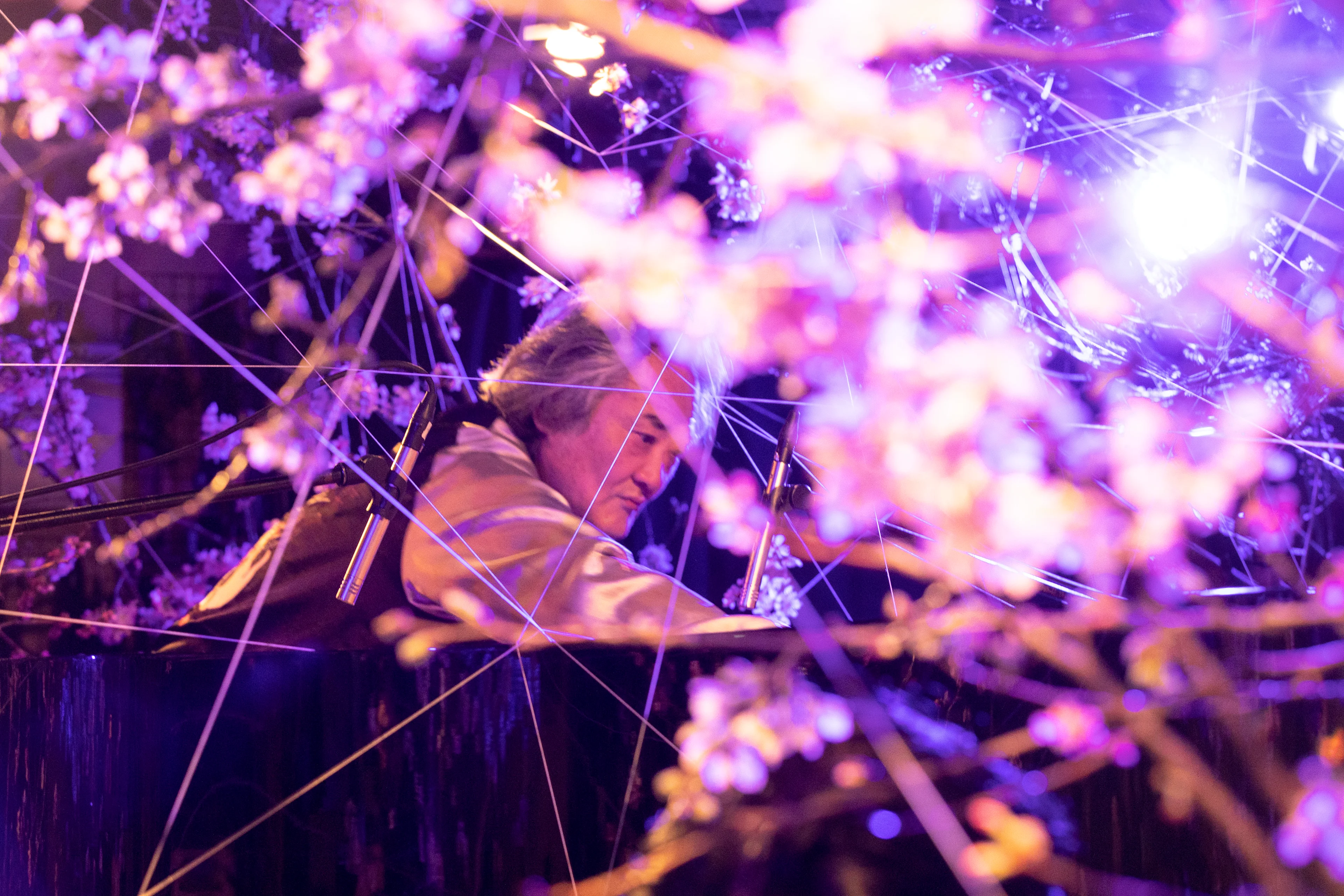 A person surrounded by purple-lit cherry blossoms and crisscrossing strings in a glowing, immersive floral art installation.