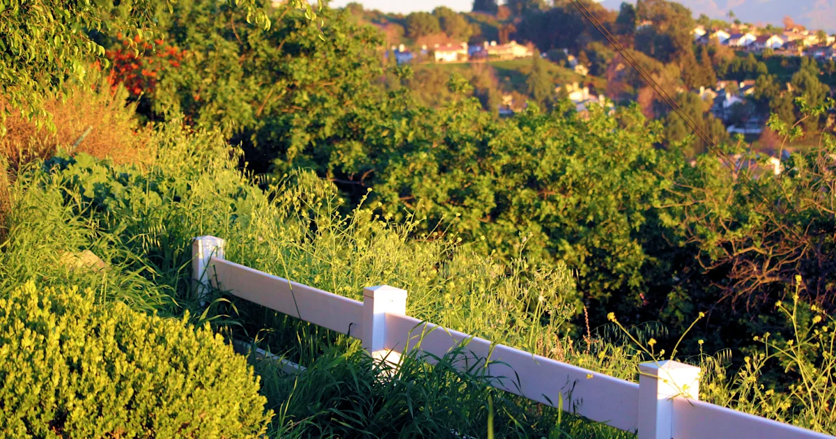 Environmental safety concerns erupt after cancer…