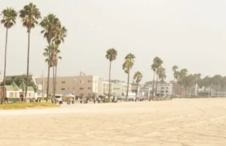 Design & Architecture Newsletter