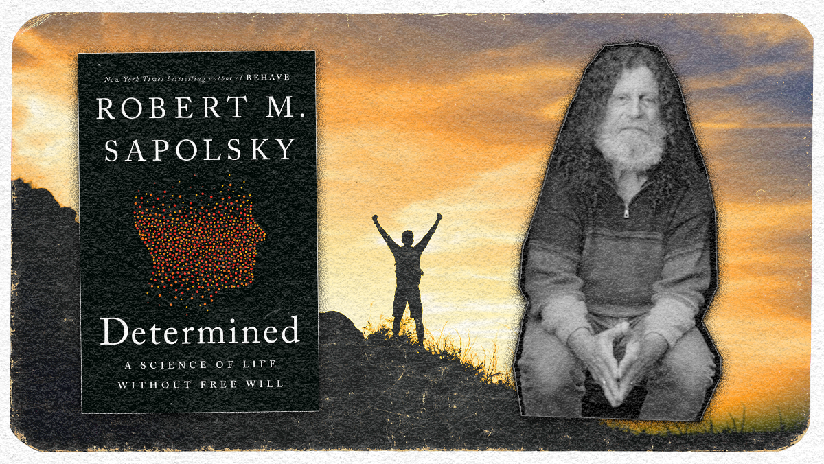 Robert Sapolsky On Life Without Free Will Kcrw