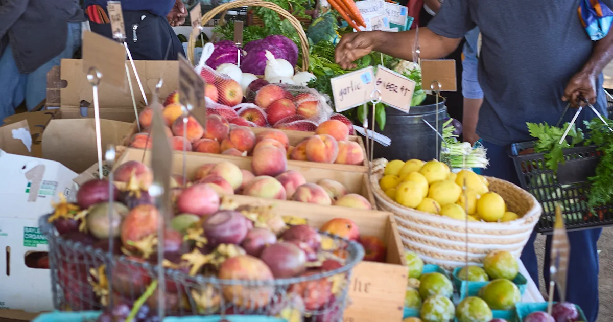 Seeds of hope for our broken food system