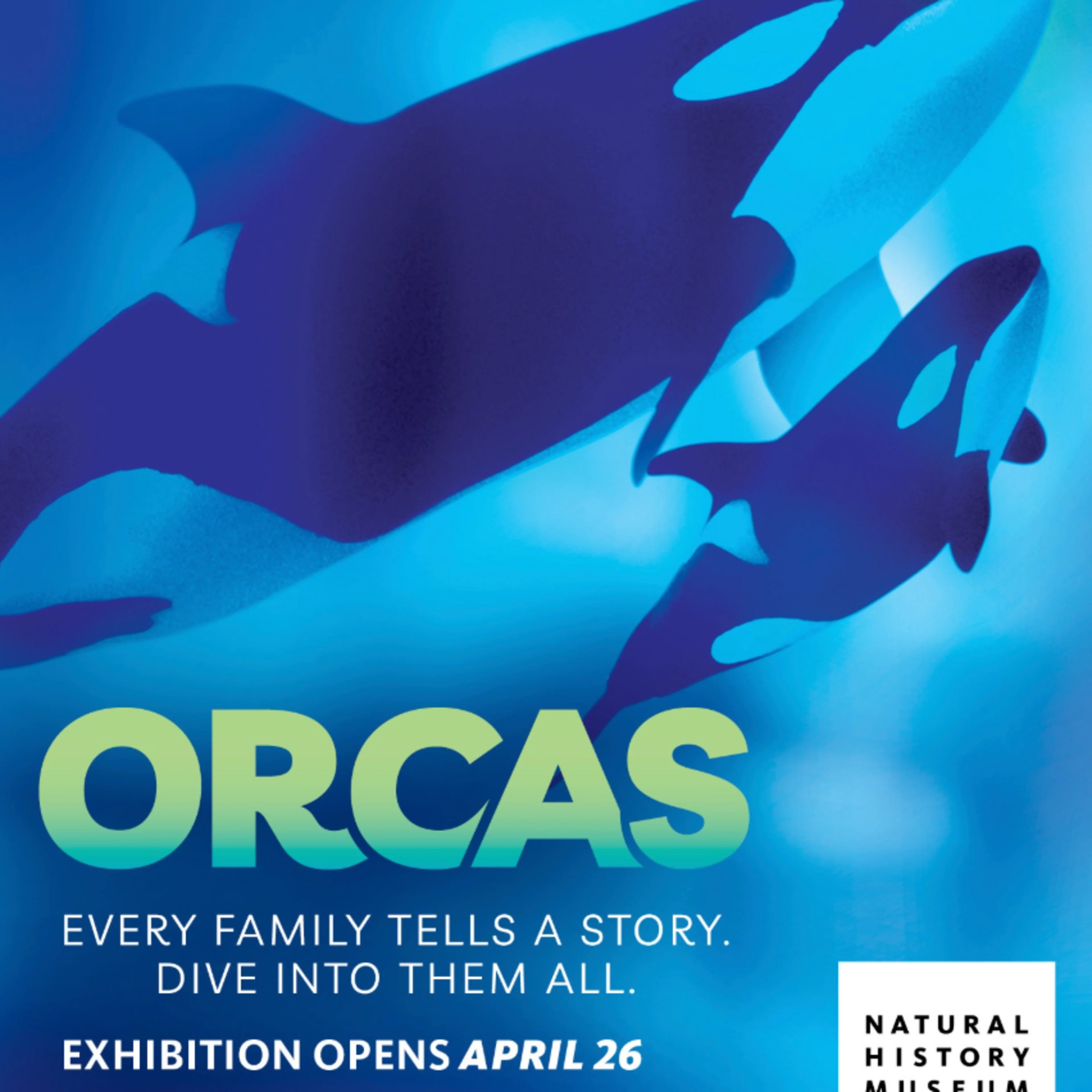 NHM's Orcas Flyer