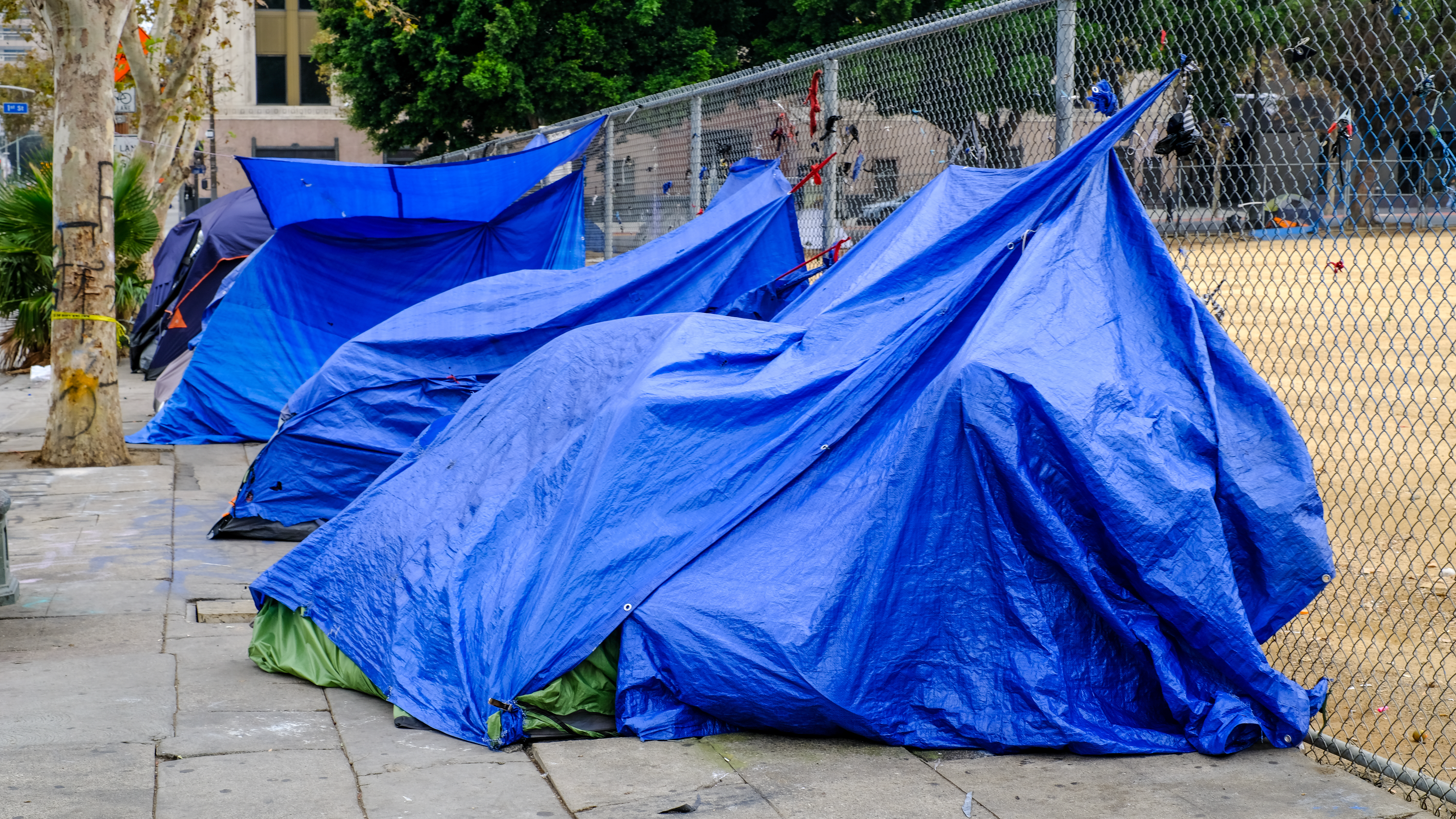 Easier to open shelters, cut through red tape: Bass… | KCRW