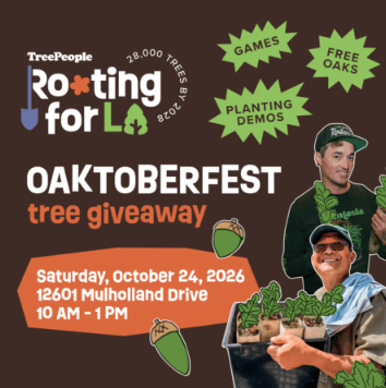 TreePeople Oaktoberfest