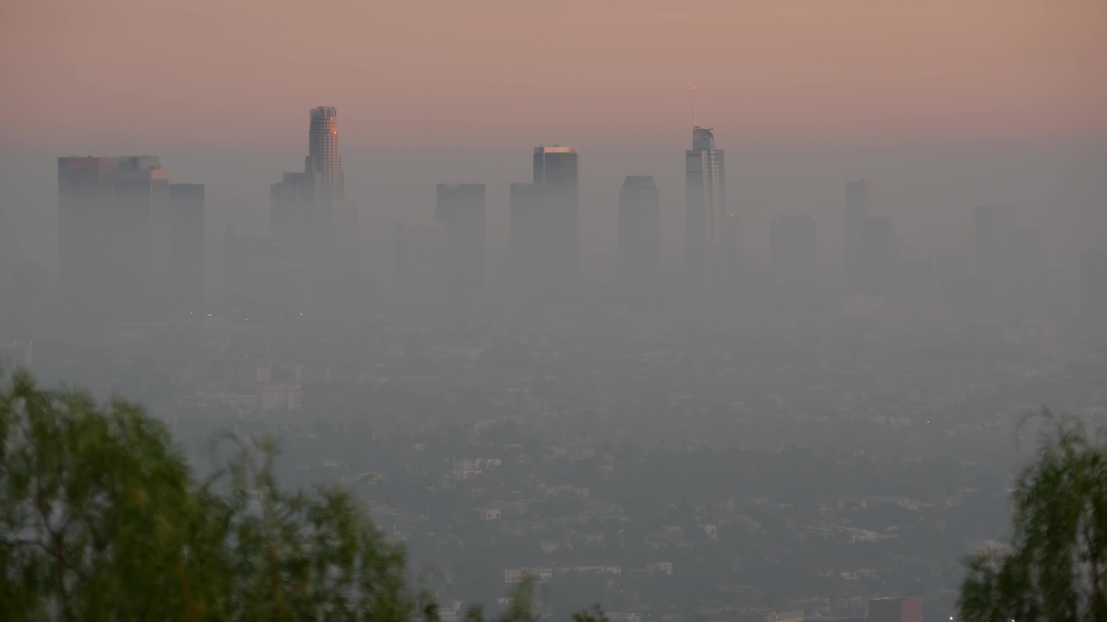 The skyline of downtown Los Angeles shrouded in heavy smog