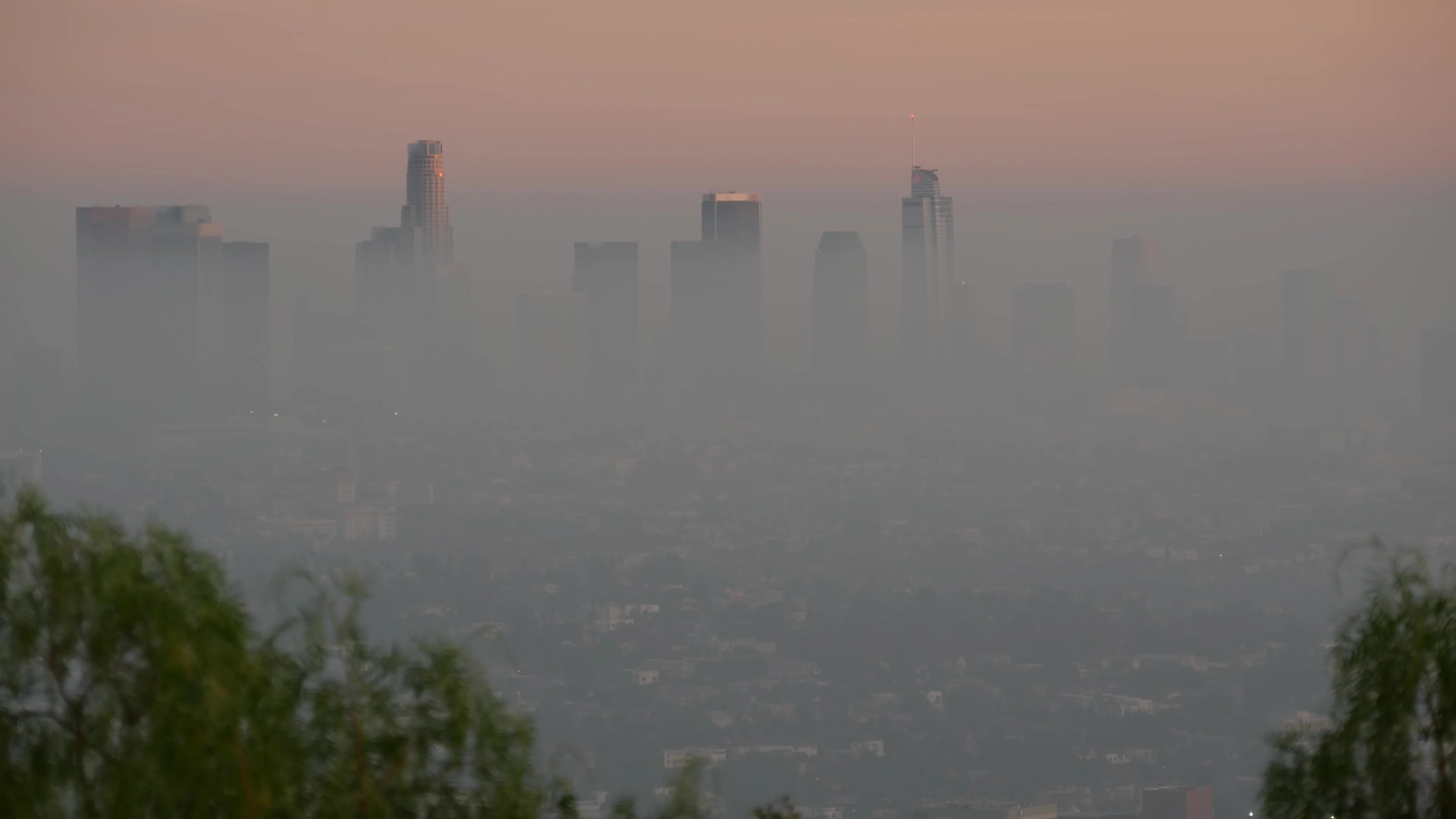The skyline of downtown Los Angeles shrouded in heavy smog