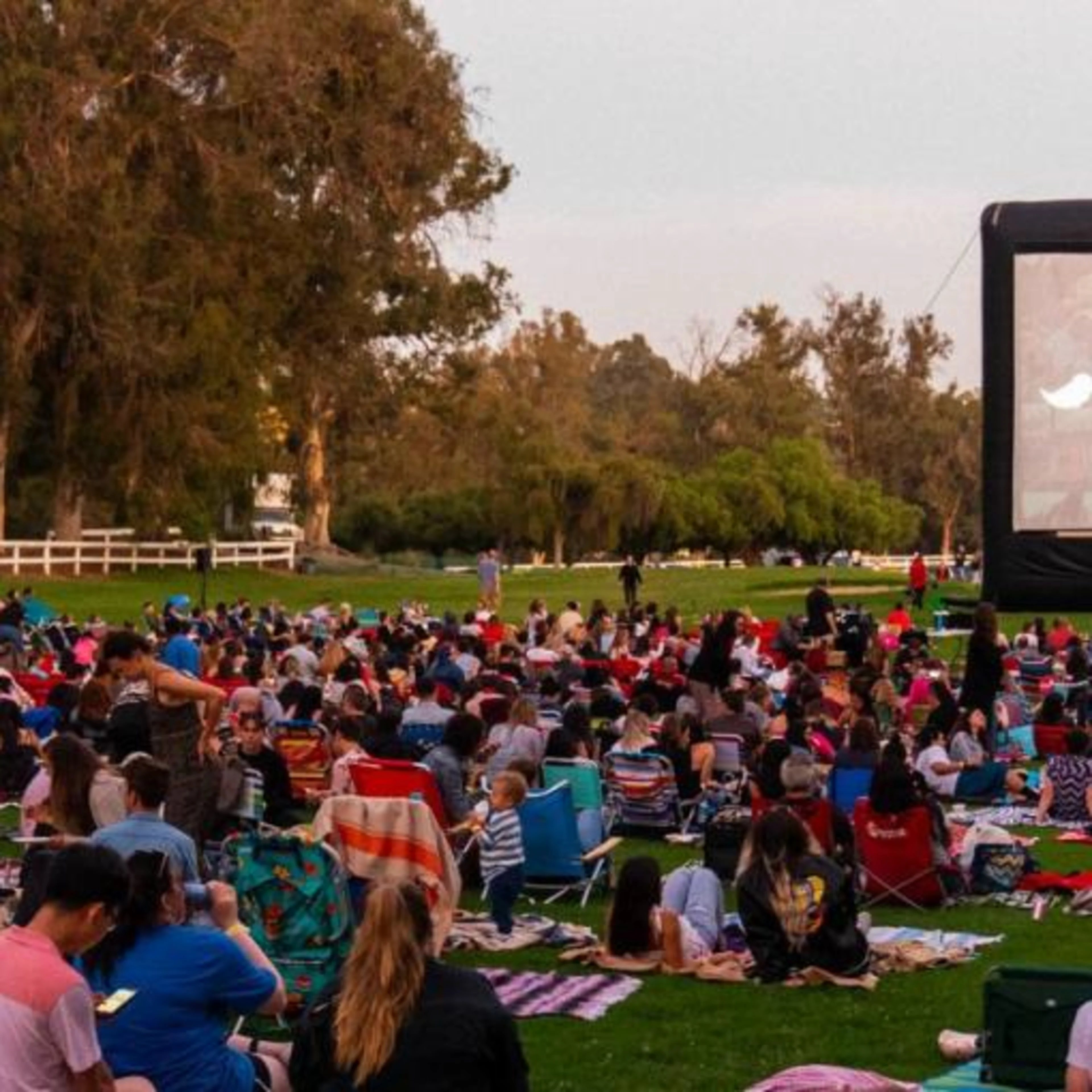 autry street food cinema