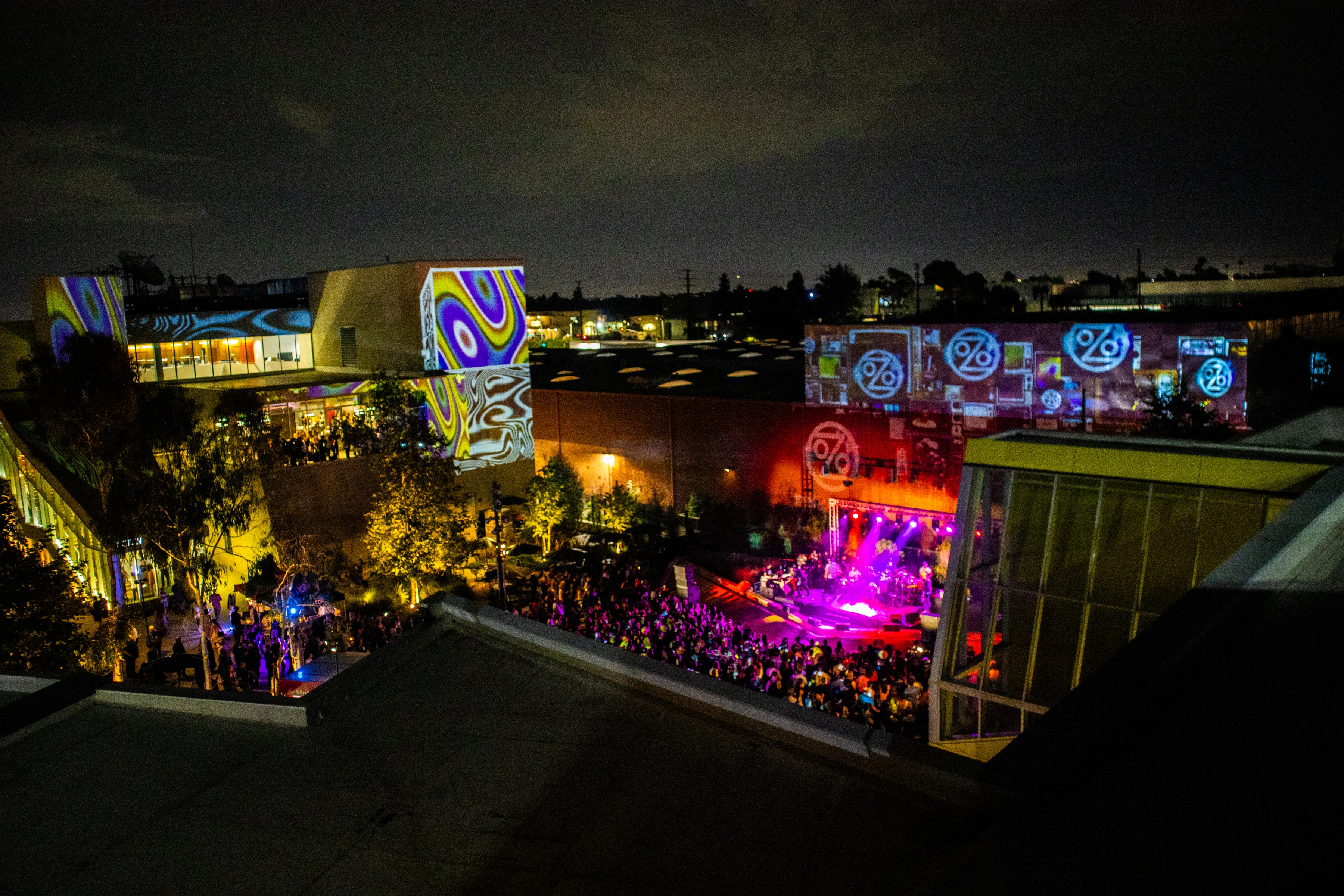 Summer Nights Field Guide