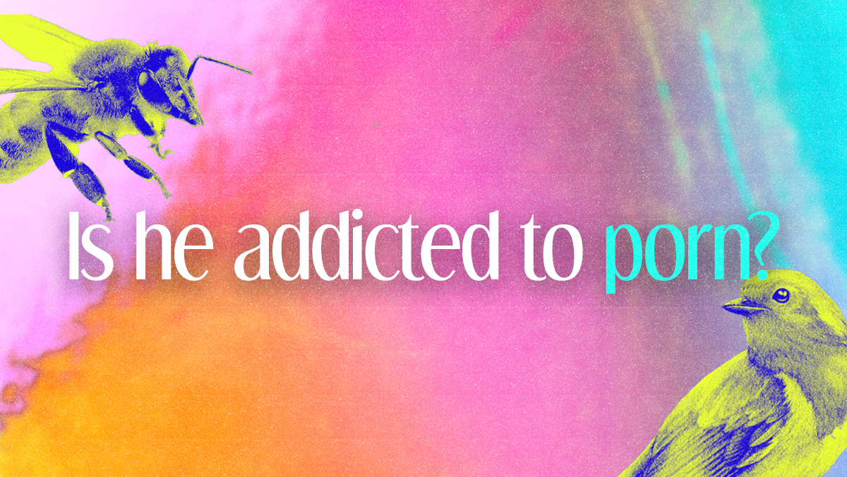 Is my partner addicted to porn? with Tomás Mier | KCRW
