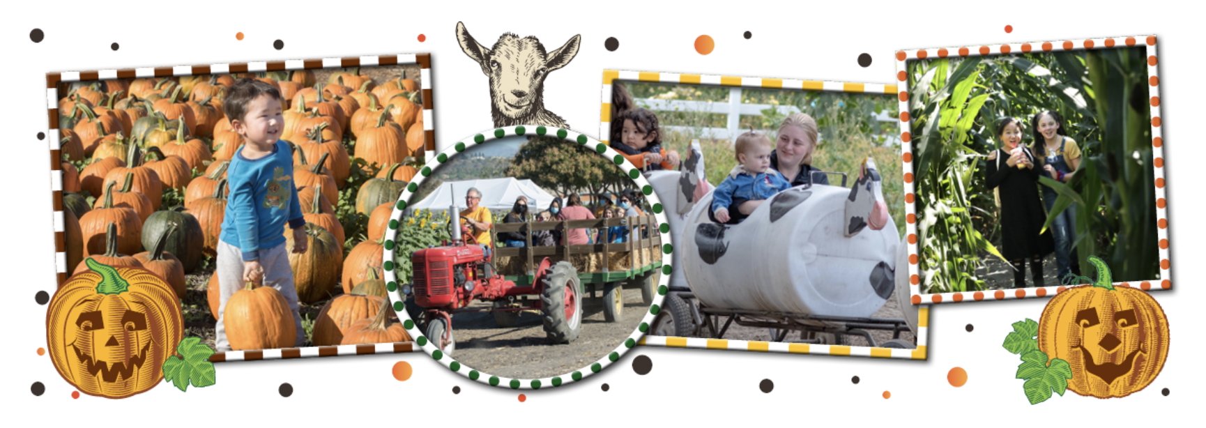 The PumpkinFest at Cal Poly Pomona's Kellogg Ranch | KCRW