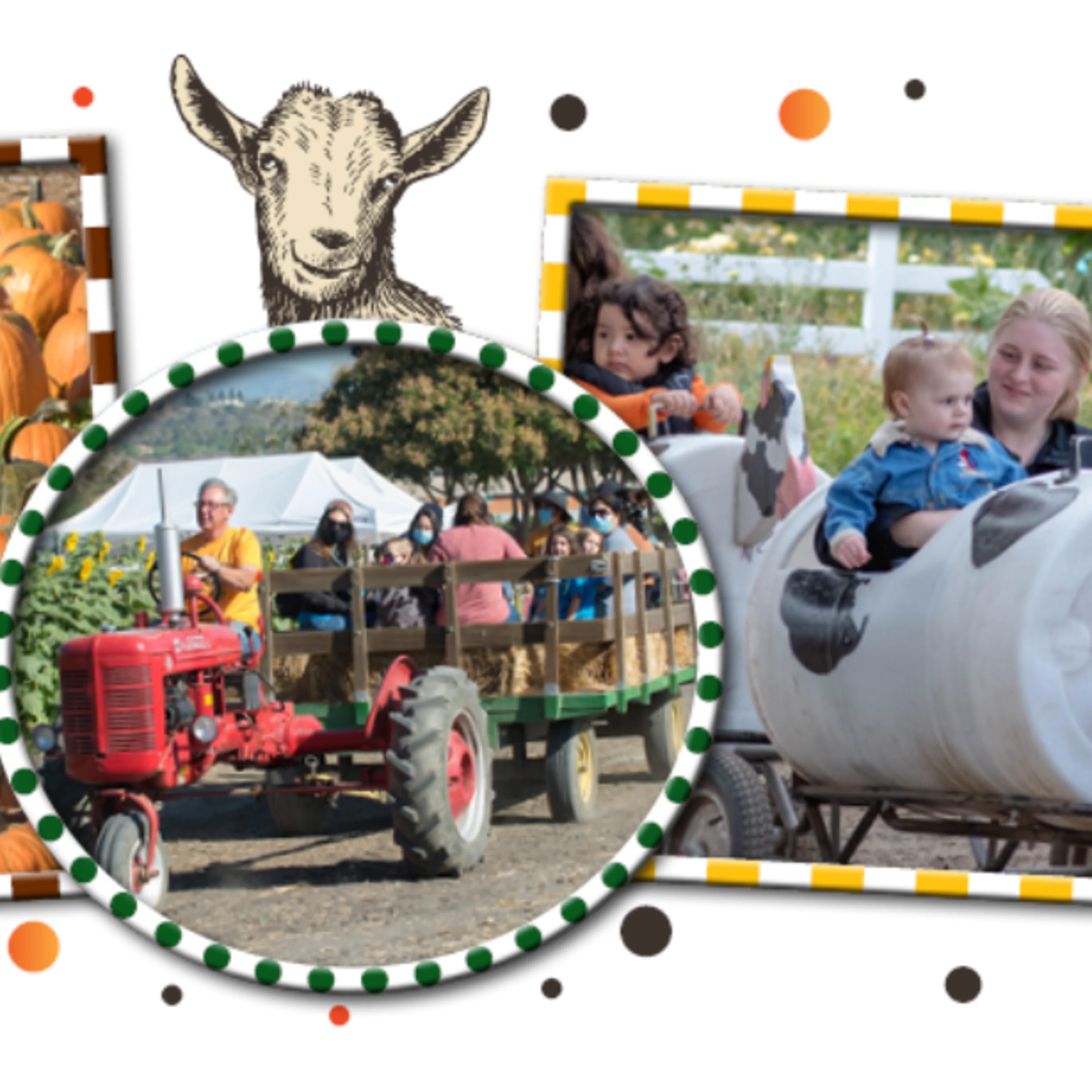 Pomona Pumpkinfest