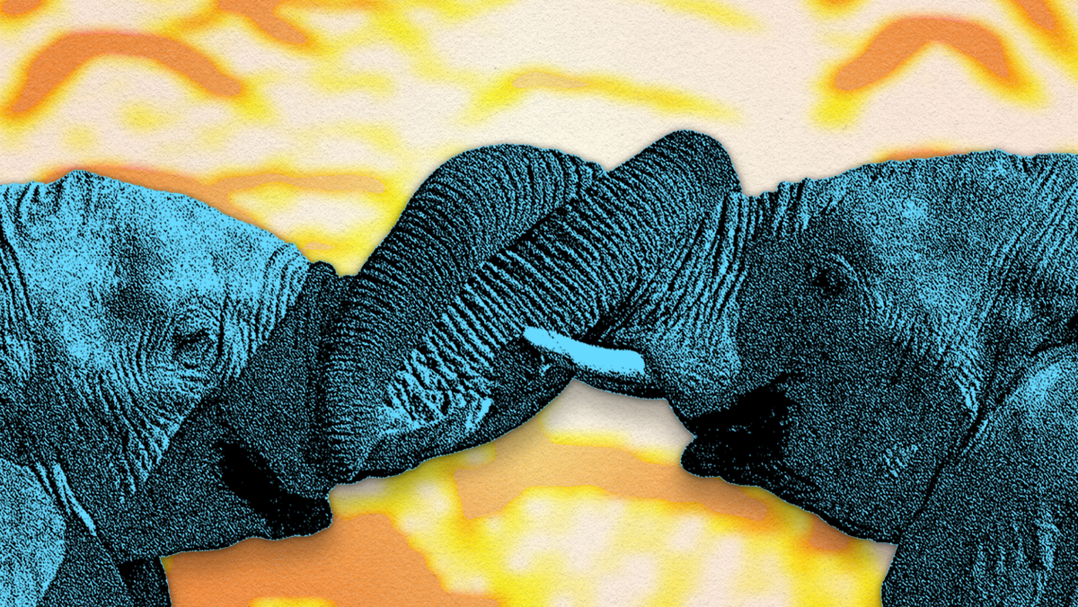 Elephant rituals: What animals can teach us about… | KCRW