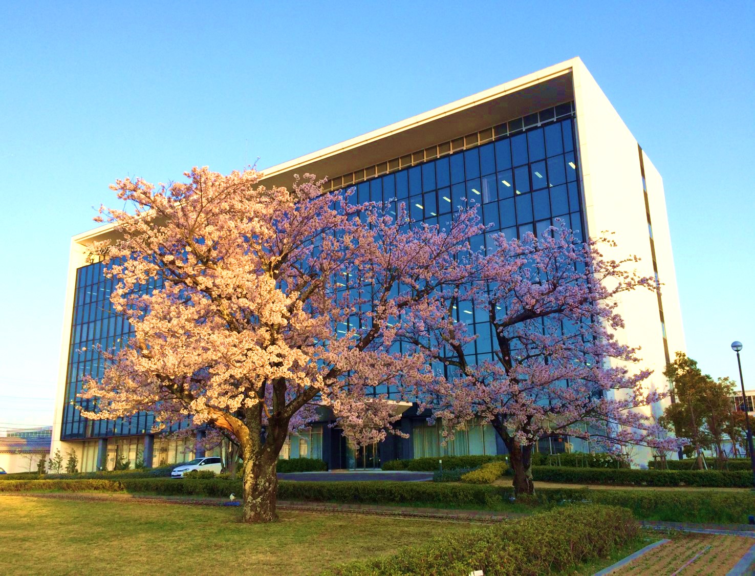 伊勢本社概観