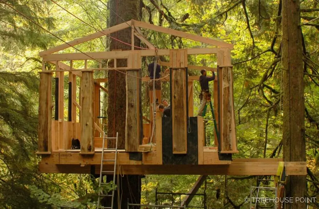 Treehouse Point- Temple-Treehouse-Point-Construction-1-1024x671