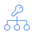 Network licensing icon