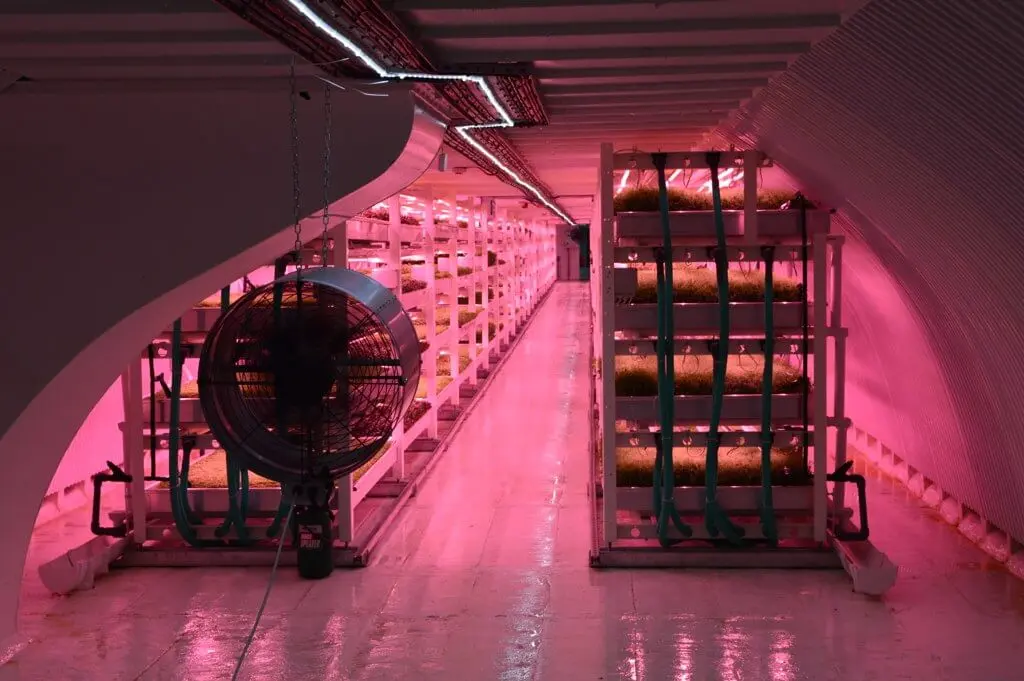 Is Vertical Farming the Future- undergroundfarm