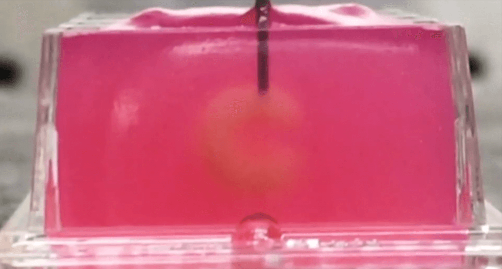 Bioprinting makes leaps in progress- still-1024x549