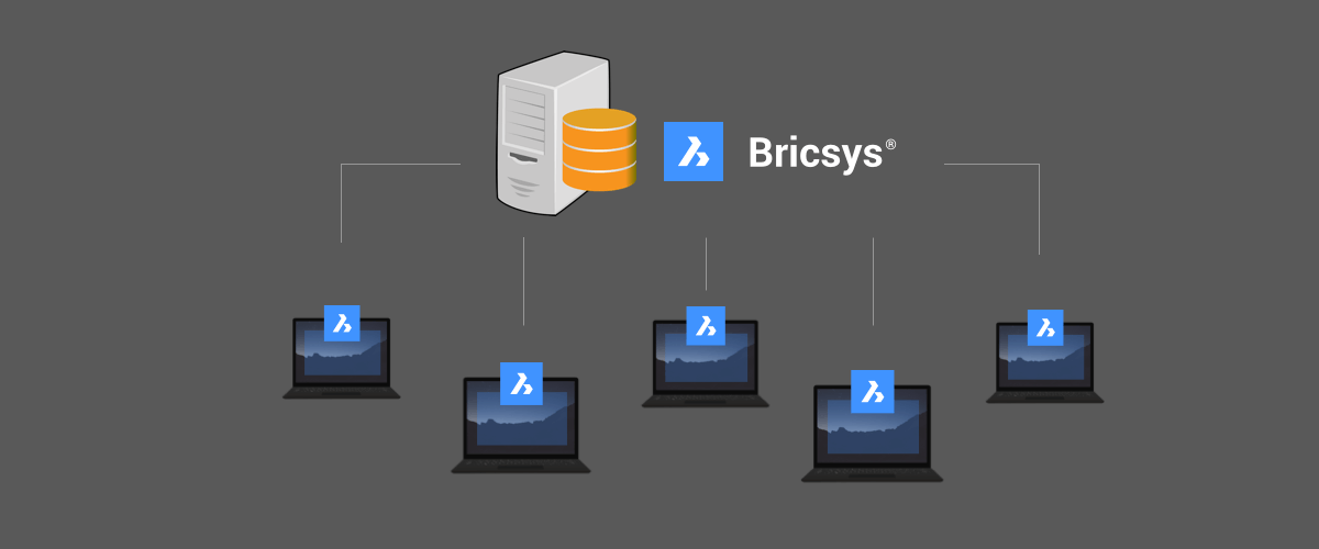Named User Subscriptions vs. BricsCAD's Flexible Licensing Named User Subscriptions vs. BricsCAD's Flexible Licensing