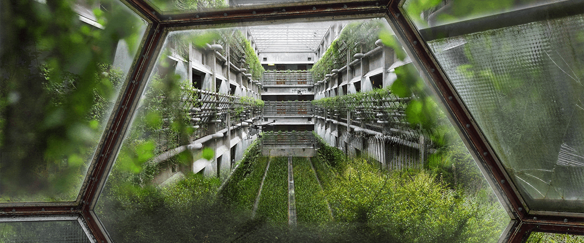 Is Vertical Farming the Future?
