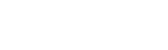 logo hyundai white