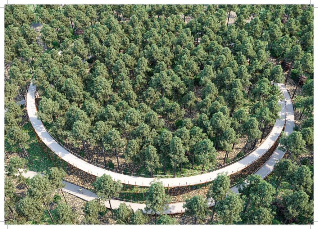 Designing Greener Cities with the Bicycle- 319830-7.-Cycling-through-the-trees-BuroLandschap Limburg Belgium-c230c4-original-1560759561-1024x738