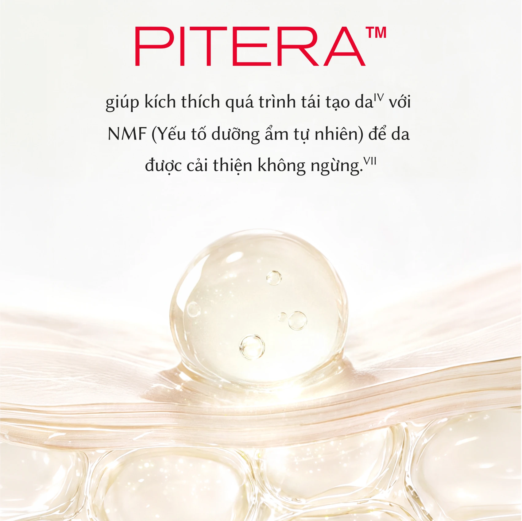 Pitera Essential Duo Image Gallery 07