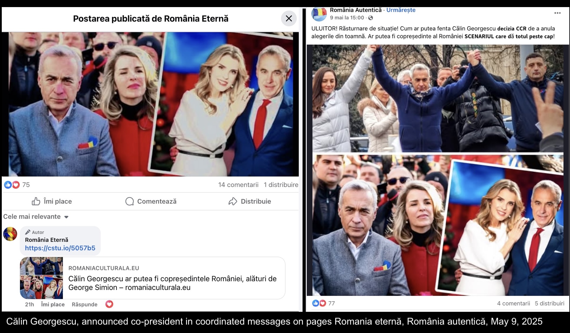 Georgescu copresedinte RE